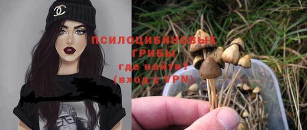 MESCALINE Осинники