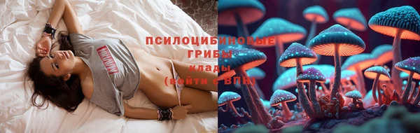 прущая мука Армянск
