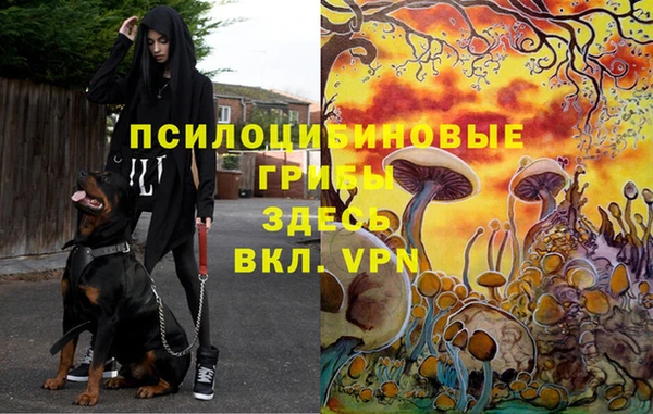 меф Балахна