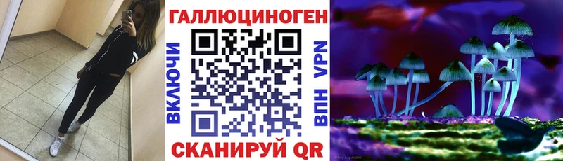 Псилоцибиновые грибы Psilocybe  как найти закладки  Бородино 